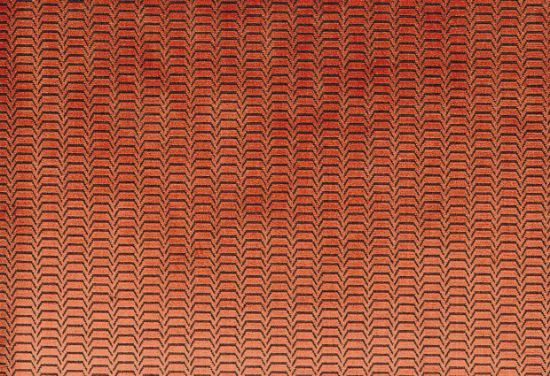 Picture of LOITA-SPICE