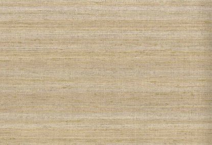 Picture of KOTA WC-FAWN