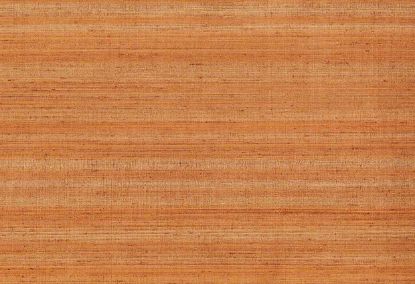 Picture of KOTA WC-DUNE