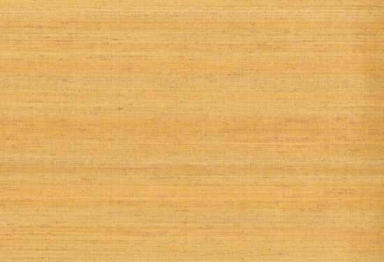 Picture of KOTA WC-CORN