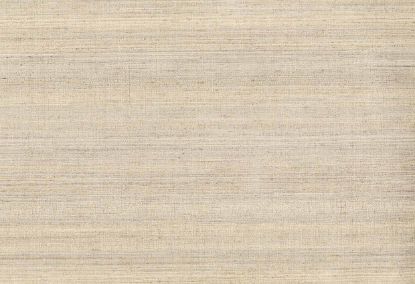 Picture of KOTA WC-BUFF