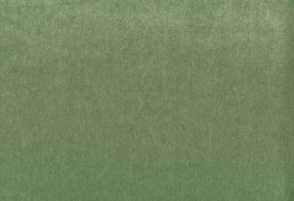 Picture of MONTREAL-PINE