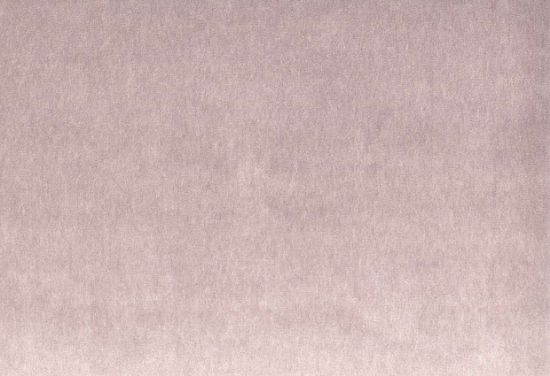 Picture of MONTREAL-ORCHID