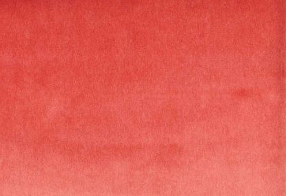 Picture of MONTREAL-PINK SANGARIA