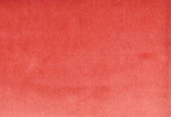 Picture of MONTREAL-PINK SANGARIA