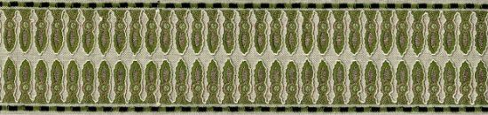 Picture of BETONG EMB. TAPE-VERDE