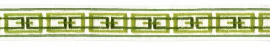 Picture of GABBUTI VELVET TAPE-GRASS