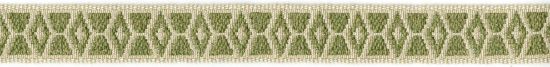 Picture of UCHANIE WOVEN TAPE-FERN
