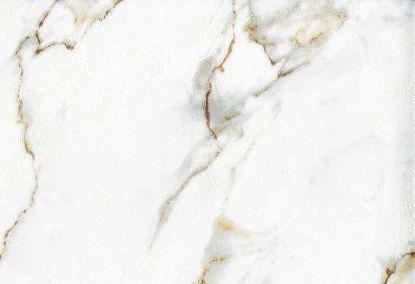 Picture of SONET WC-DOVE