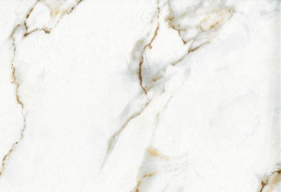 Picture of SONET WC-DOVE