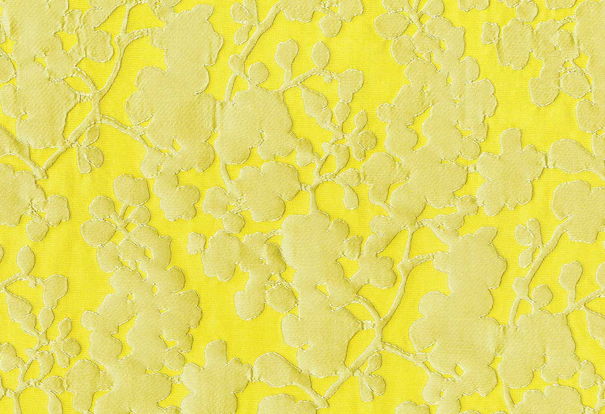 Picture of TAPU-OCHRE