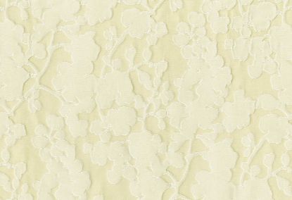 Picture of TAPU-CHAMPAGNE