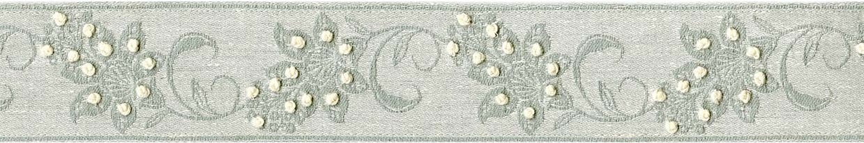 Picture of TORTUGA EMB. TAPE-AQUA