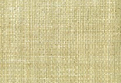 Picture of LODRERN WC-CELERY