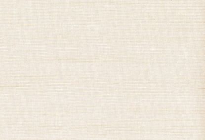 Picture of MATHEWS WC-CHAMOIS