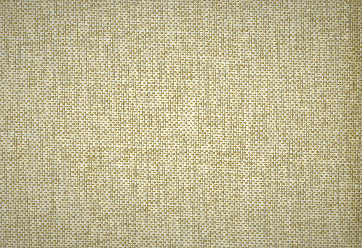 Picture of MENTOR WC-BEIGE