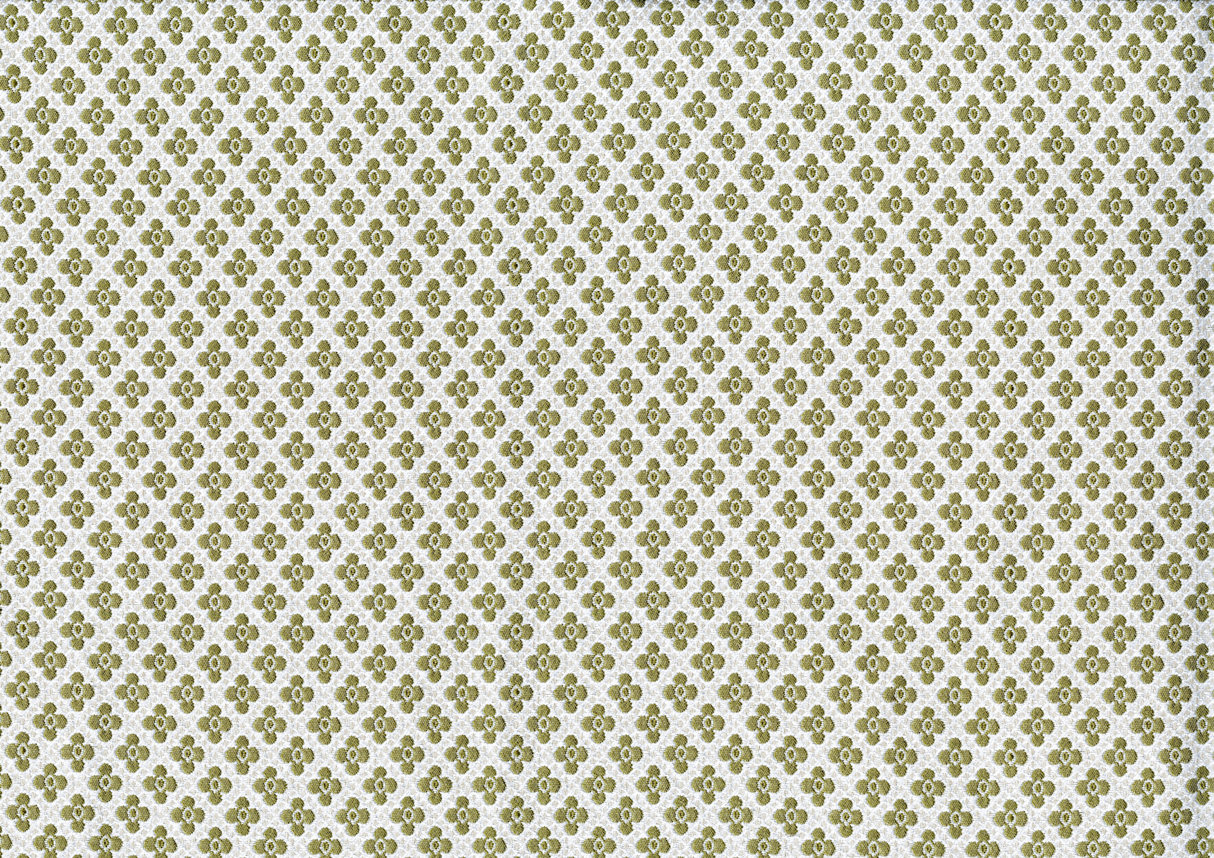 Picture of BEAUMONT-BASIL