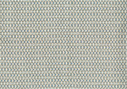 Picture of EDWARD-SKY