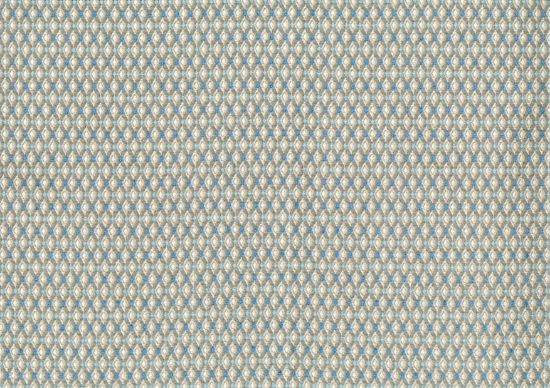 Picture of EDWARD-SKY