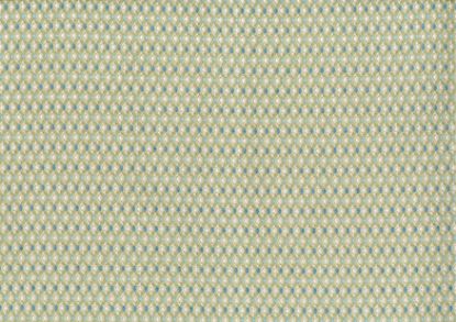 Picture of EDWARD-KELP