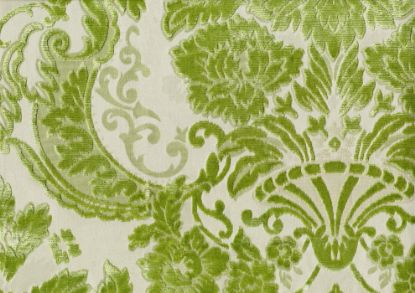 Picture of HANSI-SAGE