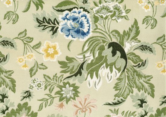 Picture of IVY-COASTAL