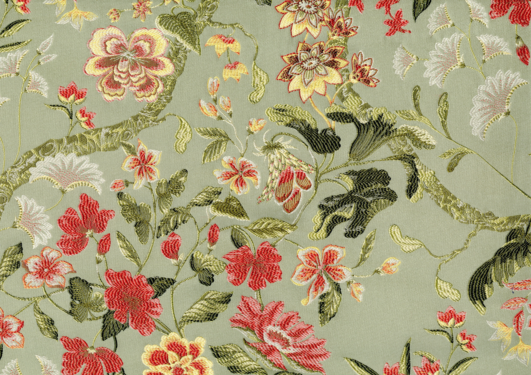 Picture of ASHLEIGH-CELERY