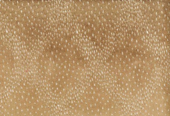 Picture of NJORO-FAWN