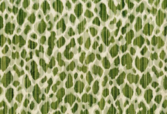 Picture of ESSEN-KELP