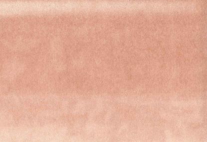 Picture of MONTREAL-OLD ROSE