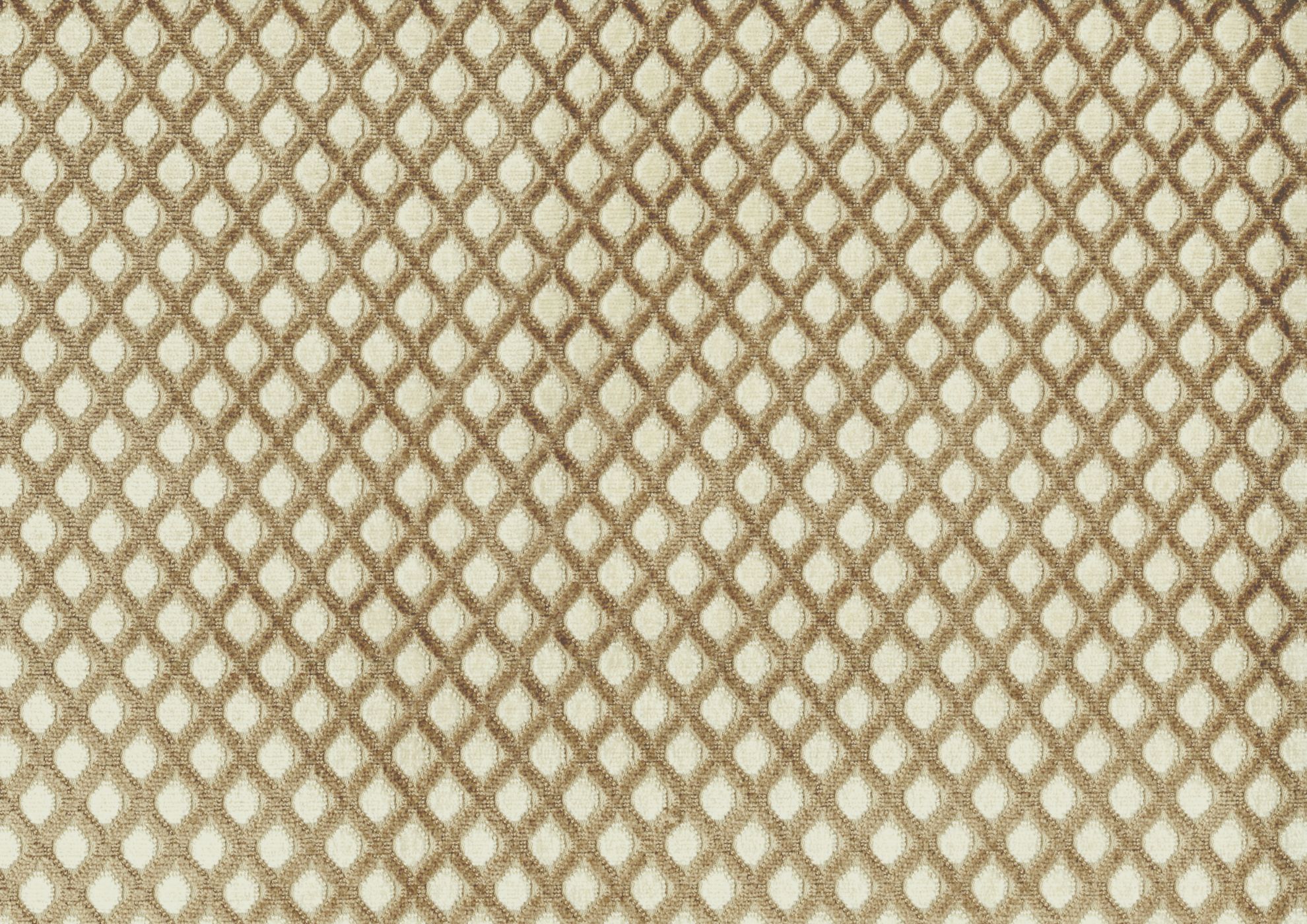 Picture of CAREN-CAFE