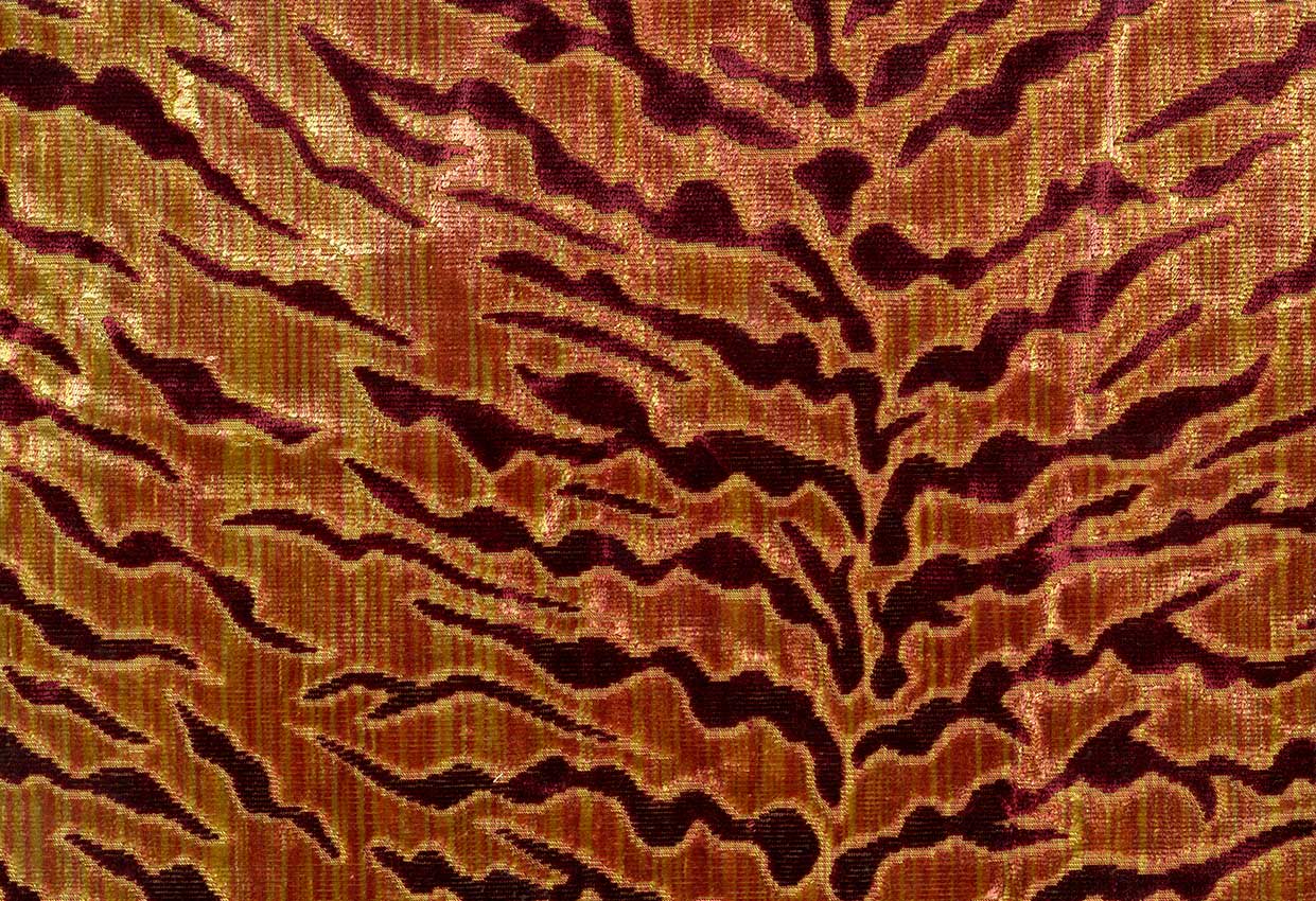 Picture of GALAPAGOS-SPICE