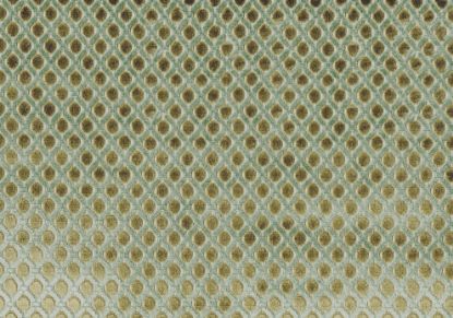 Picture of CAREN-AZURE