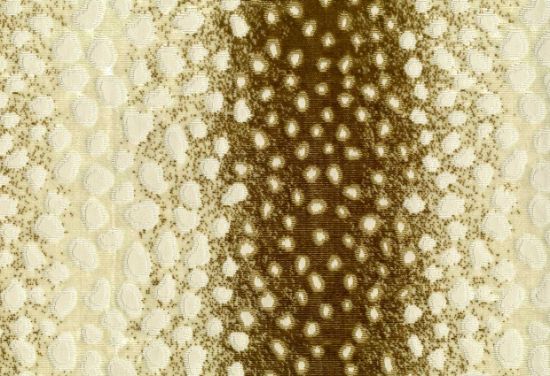 Picture of CHIMAY-WALNUT