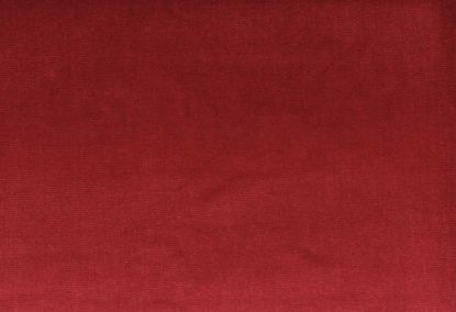 Picture of VAIL-CORAL