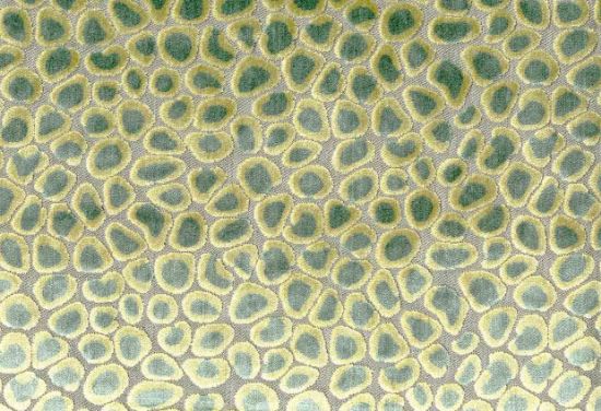 Picture of CLIO-SEAFOAM