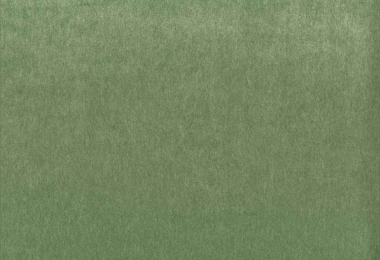 Picture of MONTREAL-PINE