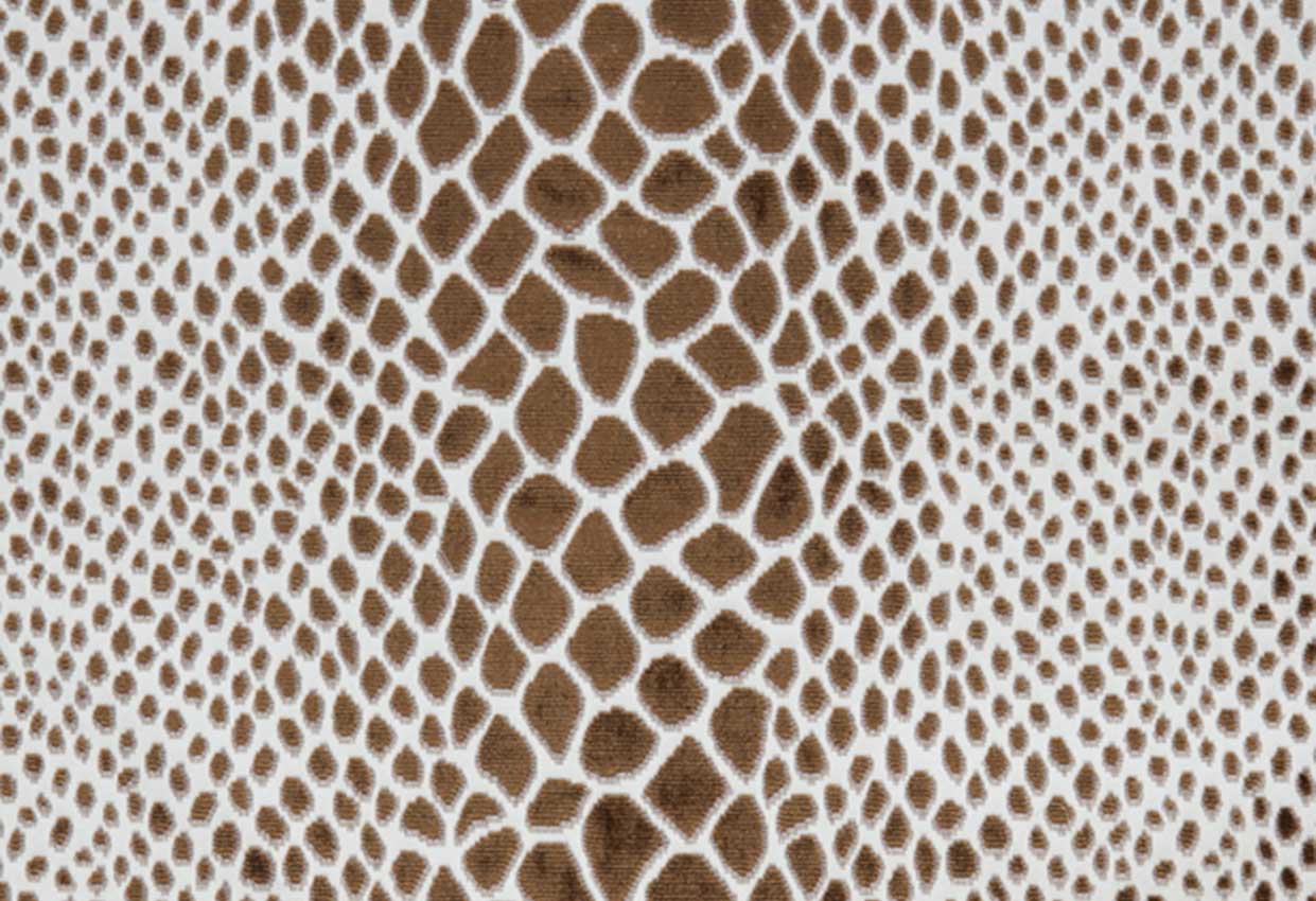 Picture of NALA-CAFE