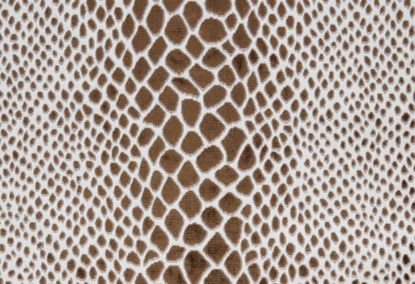 Picture of NALA-CAFE