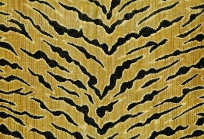 Picture of GALAPAGOS-GOLD