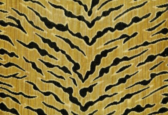 Picture of GALAPAGOS-GOLD