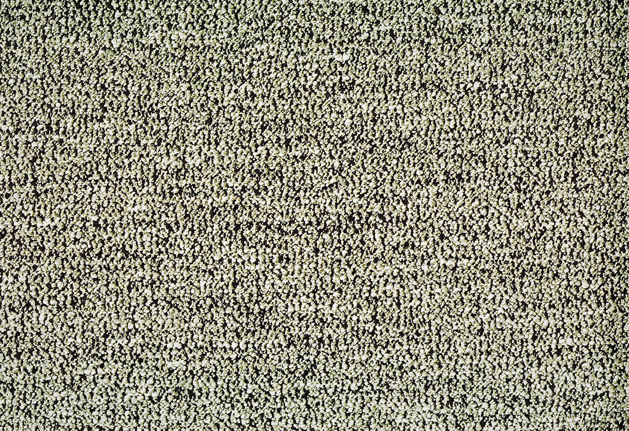 Picture of BEZNER-SAGE