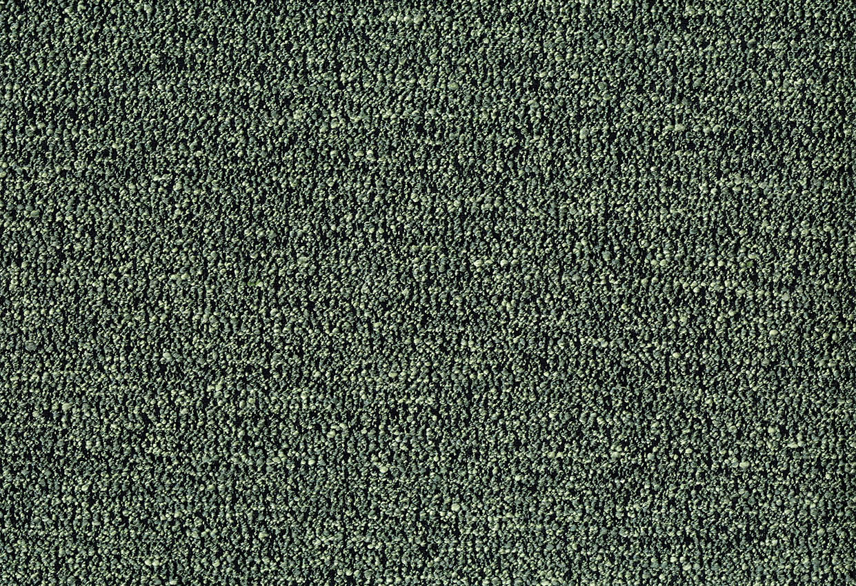 Picture of BEZNER-PICKLE